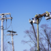 UI installs osprey platforms in Fairfield, Stratford