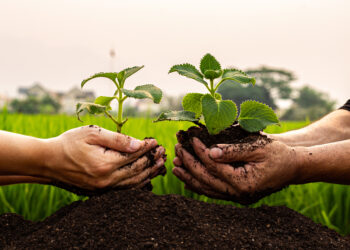 RIDGEWOOD SAVINGS BANK PLANTS SEEDS FOR A GREENER FUTURE