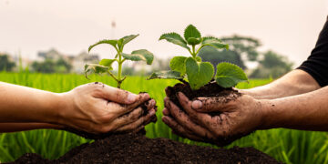 RIDGEWOOD SAVINGS BANK PLANTS SEEDS FOR A GREENER FUTURE