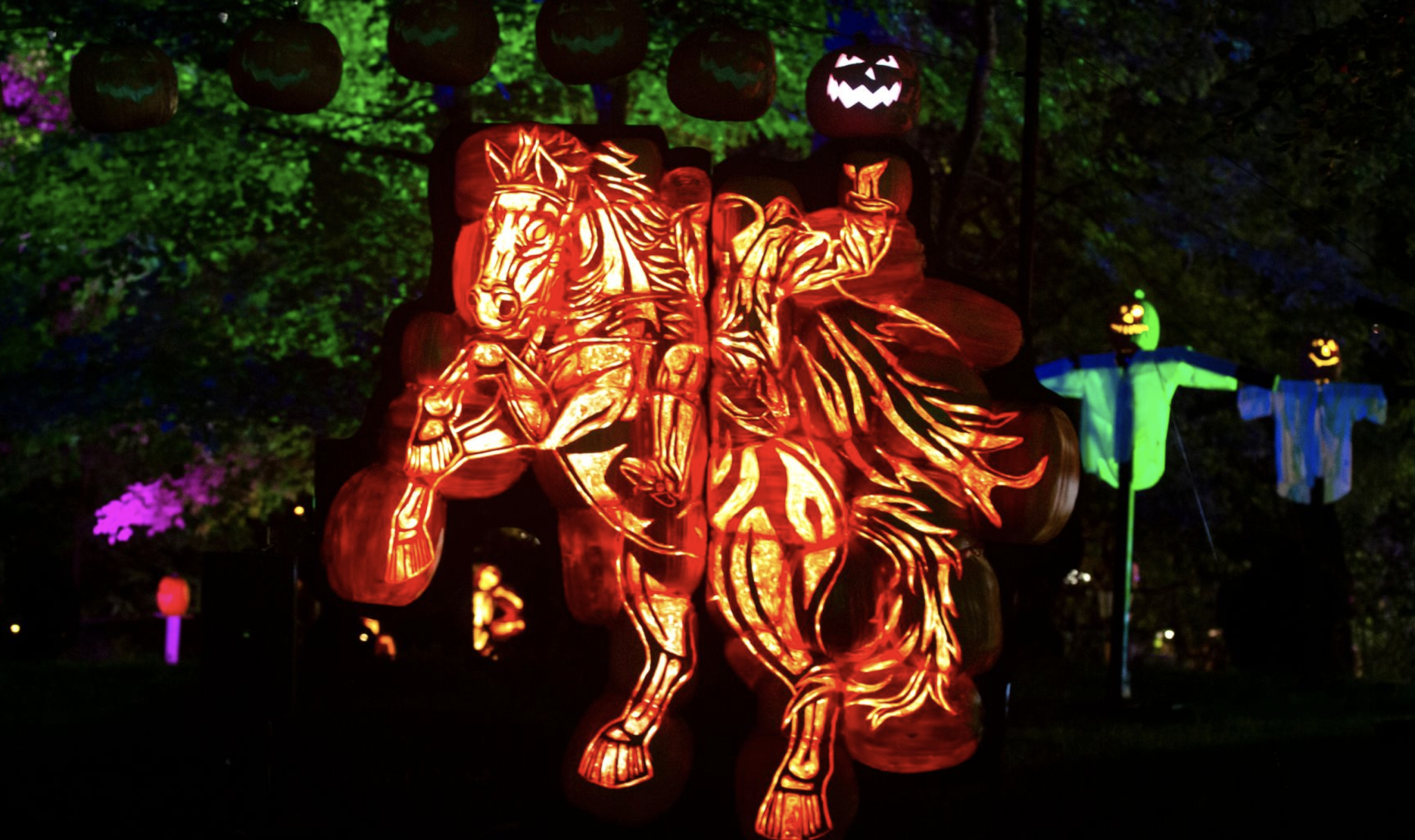 The Great Jack O’Lantern Blaze: Opening Night - Westfair Communications