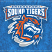 Bridgeport Islanders bringing back ‘Sound Tigers’ moniker – just for Saturdays