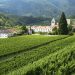In an age of changing climate, northern vineyards have their moment