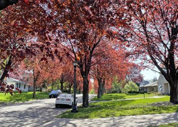 Throwing shade in the best possible way