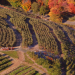 CT farmers get $53M in federal block grant disaster relief