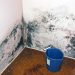 Couple cites mold in abandoning Greenburgh co-op