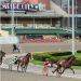 CONTRACT AGREEMENT TO GOVERN RACING AT YONKERS RACEWAY 