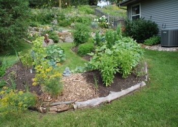 Improve your garden soil with fall leaves and landscape trimmings