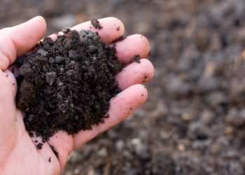 North Salem homeowner demands soil testing