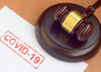 New Rochelle pandemic scammer gets 8 years in prison