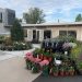 Eye on Business: Rosedale Nurseries, Hawthorne