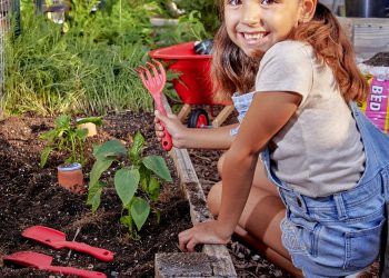 Gardening gifts that keep giving