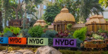 Experience the benefits of time in nature