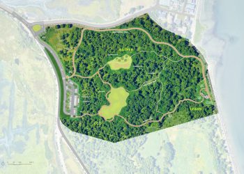 Manresa Wilds’ Northern Forest plan made public