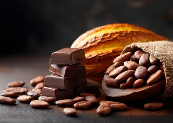 Bedford chocolatiers accuse insurer of negligence