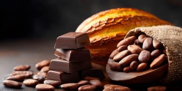 Bedford chocolatiers accuse insurer of negligence