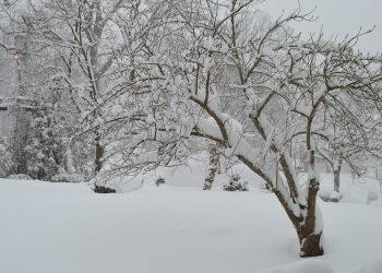 Digging out from Hernando is a major effort