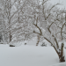 Digging out from Hernando is a major effort