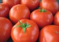 Grow your own fresh vegetables and save