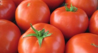 Grow your own fresh vegetables and save