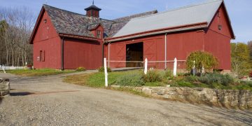 Farmers Market and the Sheep Shearing Festival