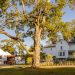 Seven Greater Danbury nonprofits receive total of $38K in arts grants