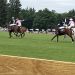 Greenwich Polo returns Saturday, June 7