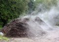 Mount Pleasant says garden center created nuisance
